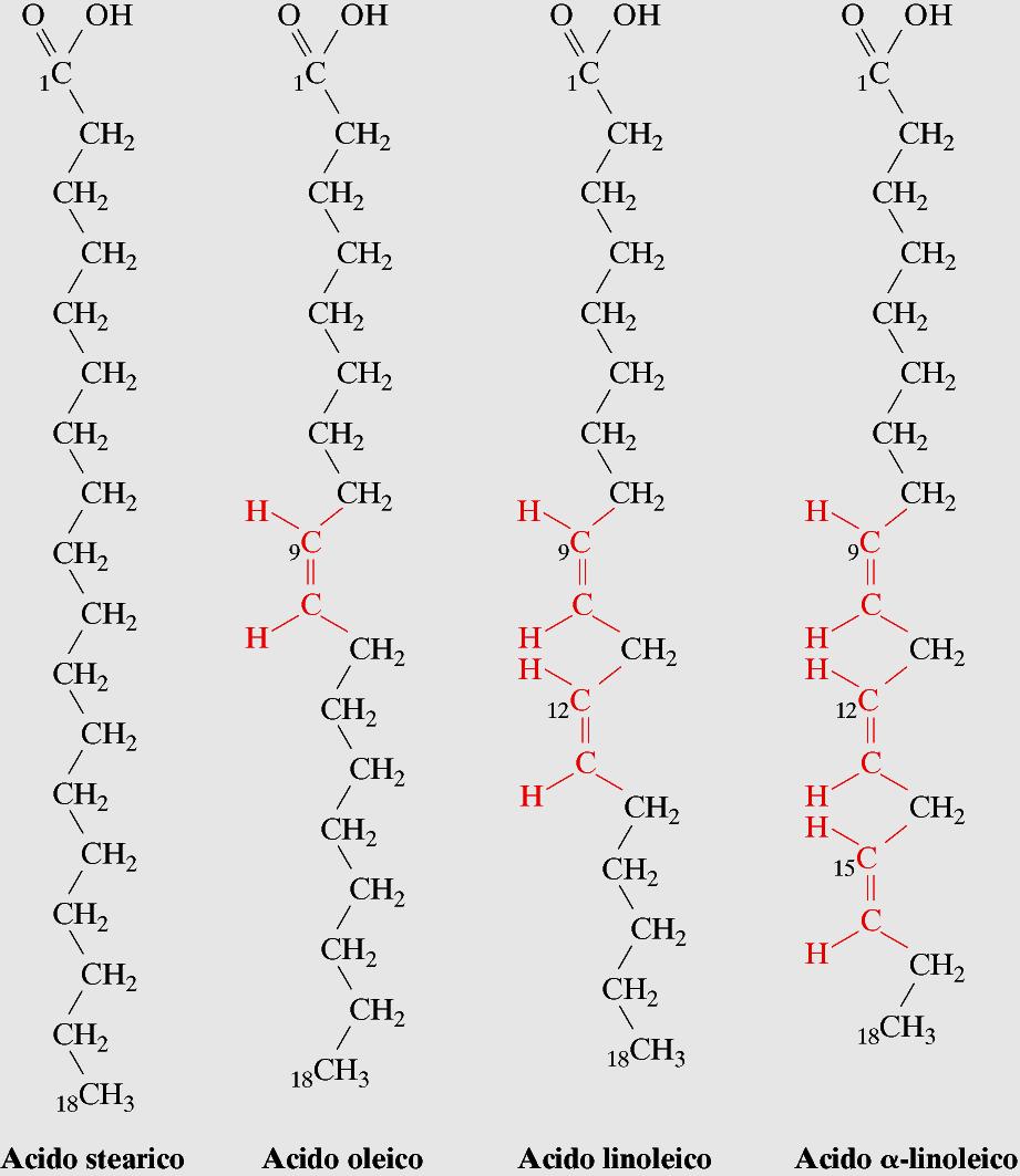 Acidi grassi: Composti da una coda idrocarburica ± lunga e un gruppo CARBOSSILICO (-COOH in posizione 1) I più comuni possiedono da 12 a 20 atomi di