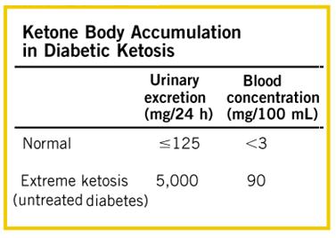 Utilizzo dei Corpi Chetonici VANTAGGI: Sono forme mobili degli acidi grassi, che non richiedono trasportatori ematici (lipoproteine, albumina), poiché sono idrosolubili.