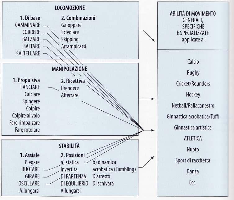 Uno sviluppo fisico efficace è basato sullo sviluppo delle