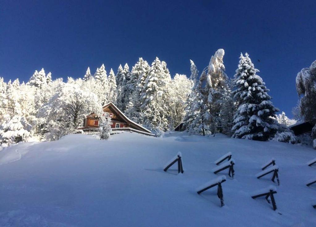 Bollettino del clima Novembre 2017 _ Nel corso del mese di novembre al Nord delle Alpi la neve si è fatta vedere più volte fino a basse quote e, grazie al buon innevamento, le stazioni sciistiche