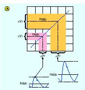 Il polso pressorio ( Pa) è determinato dal volume sistolico ( V) e dalla compliance arteriosa (Ca) Pa