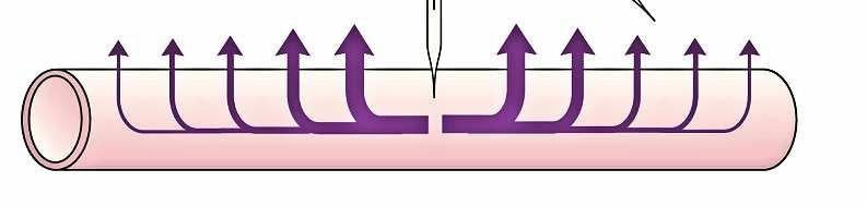 La stimolazione è sottosoglia Propagazione elettrotonica La corrente applicata in un punto