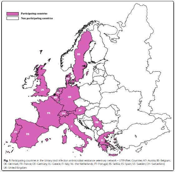 e valutare l occorrenza e l andamento temporale dell antibioticoresistenza in un periodo di 6 anni (2008 2013) UNO STUDIO MULTICENTRICO EUROPEO SU AMR IN PETS 14