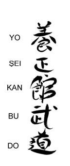 TRADUCIAMO IN MODO CORRETTO Y SEIKAN BUD (e KI) Il significato corretto degli ideogrammi che compongono il nome della nostra Scuola.