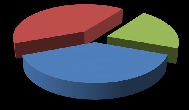 SINTESI DEI DATI Nel corso del i Servizi distrettuali per l età evolutiva della Regione del Veneto hanno assistito, ossia hanno erogato almeno una prestazione nell'anno esclusi i contatti telefonici