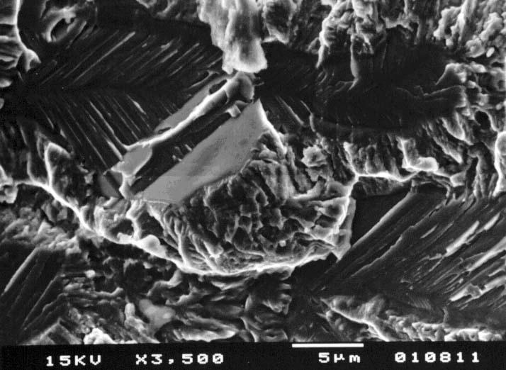 I micromeccanismi di avanzamento negli acciai duplex infragiliti a 800 C dipendono sia dalla composizione chimica che dalla durata