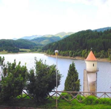 Captazione da acque superficiali stagnanti (laghi) La captazione da acque superficiali stagnanti è effettuata solitamente tramite la costruzione di torri aventi finestre richiudibili per il passaggio