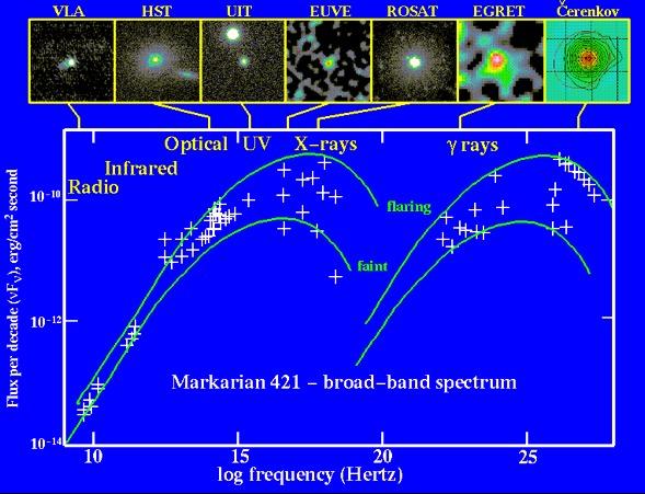 BL Lac e Blazars Alcuni AGN sono peculiari nel senso che sono caratterizzati da: sorgenti radio compatte (no lobi) e molto potenti; spesso blob di emissione radio mostrano moti superluminali