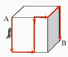 Quanto ha speso Anna per il pesce, il pane e la verdura? soluzione: Il percorso della formica In figura è rappresentato un cubo il cui spigolo misura 12 cm.