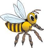 La famiglia: una moltitudine di individui Tanti anni fa gli antenati delle api avevano una vita solitaria, ma adesso le api sono insetti sociali, cioè vivono in grandi famiglie dove ogni individuo