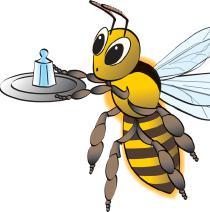 Verso il ventesimo giorno, quando anche le ghiandole della cera cessano di funzionare, l ape deve