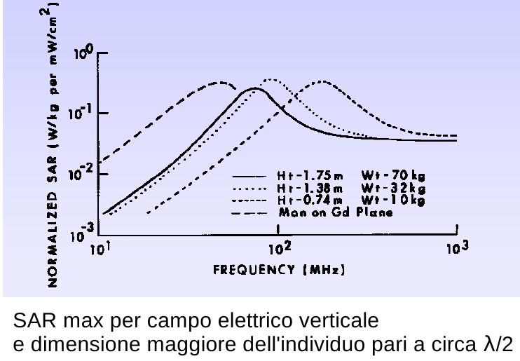 Il SAR medio ( W/kg)e' proporzionale alla densita' di potenza