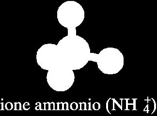 è: N 4 + ione ammonio La