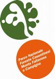 Il partenariato PNFC CFS-UTB DREAM UMCASEN UNIBO UNIPV Coordinatore del