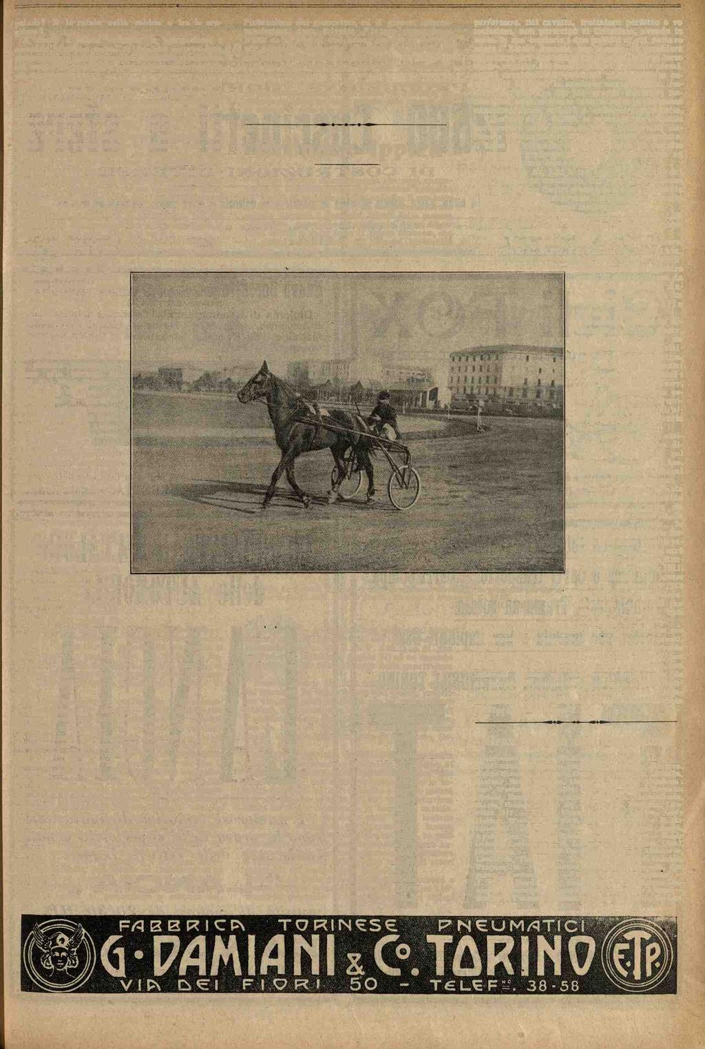 paludi? E le retate sulla sabbia e tra le scogliere? A mano a mano vengono le spiegazioni, e ciascuno le accompagna di qualche impressione propria e di qualche ricordo.