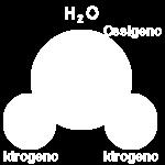 polare I legami O-H sono covalenti polari.