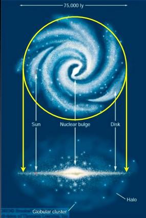 Struttura della galassia: il disco Disco diametro ~50 kpc; spessore ~500 pc; caratterizzato da braccia a spirale.