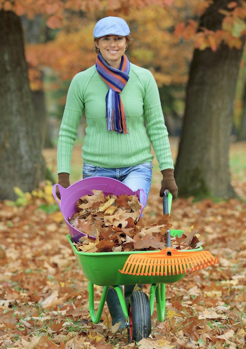 I lavori IN GIARDINO NON