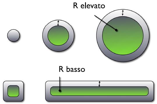 Rapporto