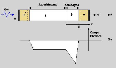 Figura 1.9 - a) Sezione di un dispositivo APD con indicazione delle regioni di assorbimento e moltiplicazione. b) Profilo del campo elettrico.