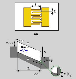 11.5 Fotodiodi metallo-semiconduttore-metallo (MSM) Un fotodiodo metallo-semiconduttore-metallo è ottenuto realizzando due contatti Schottky su uno strato di semiconduttore intrinseco.