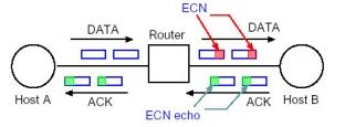 Explicit Congestion Notification (ECN) In caso di congestione il router imposta gli "ECN bit" nell'ip header.