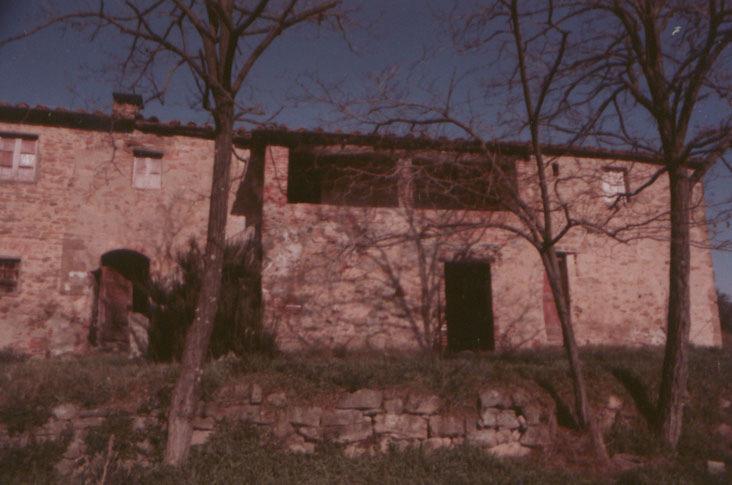 274042_001 Alberi isolati: pioppi Oliveto Edificio lungo con loggia avanzata e volume