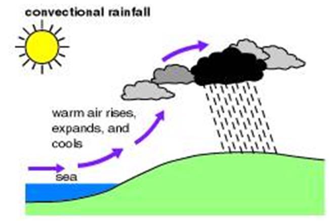 Tipi di piogge Convettive: Sollevamento di aria umida riscaldata dall atmosfera -