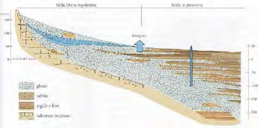 Fig. 5 : Sezione geologica in corrispondenza della fascia delle risorgive Immediatamente sotto alla fascia delle risorgive inizia il territorio della media e bassa pianura.