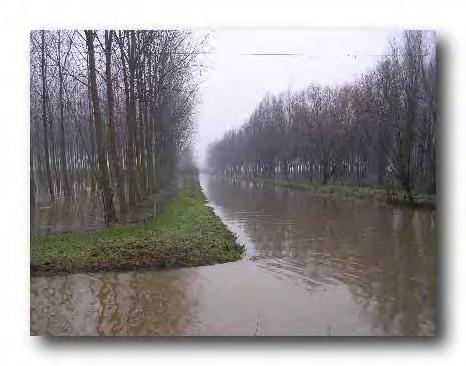 allagati per carenza volumi di invaso c) Terreni molto depressi presenti nei paleoalvei 1.388 ha 0.