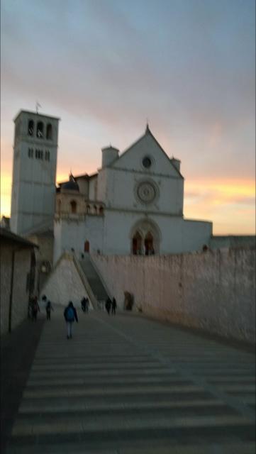 affascinati dagli affreschi di Giotto e dalla maestosità del posto.