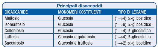 I disaccaridi Dal punto di vista alimentare i principali