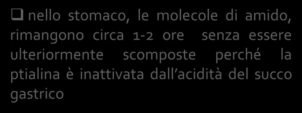 stomaco le molecole di amido ancora non scisse,