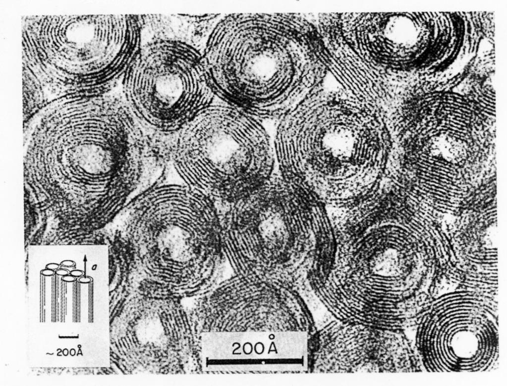 strato tetraedrico (T) Immagine