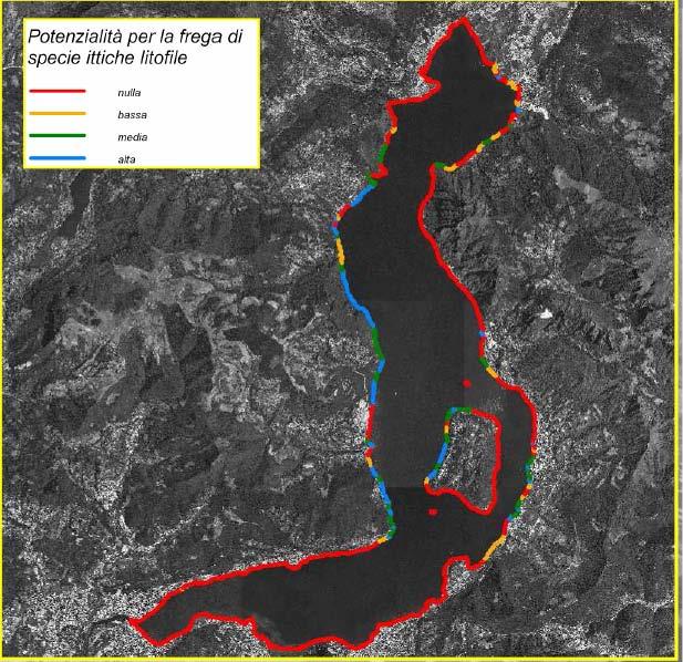 sulle Acque del Sebino realizzare spiagge per la riproduzione litorale specie ittiche elettive come Agone, Alborella, Coregone