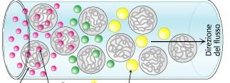 Cromatografia ad esclusione molecolare (GPC) La fase stazionaria è un gel polisaccaridico legato ad un supporto inerte Le proteine si separano in base alla loro grandezza, dalla piu grande alla piu