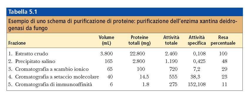 Monitoraggio della purificazione In un buon