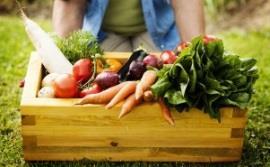 di birrificazione domestica - Scuola di panificazione Scuola del gusto