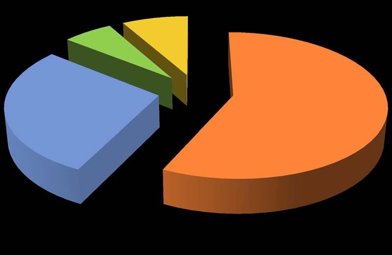 Gruppi monobusiness e multibusiness 6,1% 8,2% 28,6% 57,1% Monobusiness 2 business 3