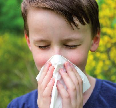 ed occhi irritati. La seconda, l asma allergico, interessa i bronchi con tosse e mancanza di fiato o respiro sibilante. Un italiano su quattro soffre di una delle due malattie o di entrambe.