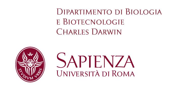 Università degli Studi di Roma "La Sapienza" Dipartimento di Biologia e Biotecnologie Charles Darwin Bando di selezione per il conferimento di assegni per lo svolgimento di attività di ricerca di