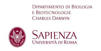 Dipartimento di Biologia e Biotecnologie Charles Darwin Università degli Studi di Roma "La Sapienza" Bando di selezione per il conferimento di assegni per la collaborazione ad attività di ricerca di
