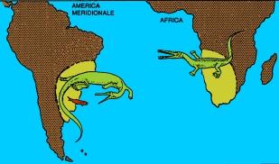 acquatico Limite Carbonifero-Permiano