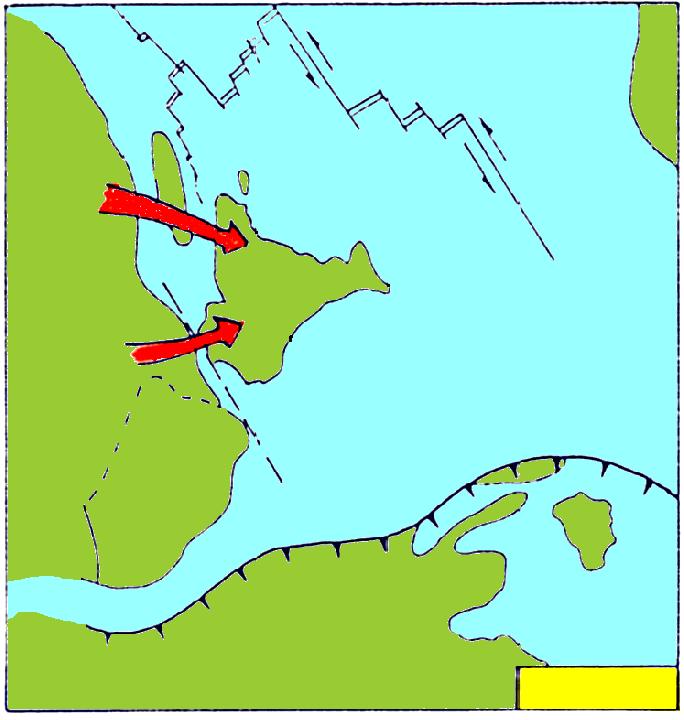 IL VIAGGIO DELL INDIA Tettonica a placche PROVE PALEONTOLOGICHE 133 Ma Inizia il distacco dal Gondwana 85-80 Ma Avvicinamento temporaneo all Africa: via