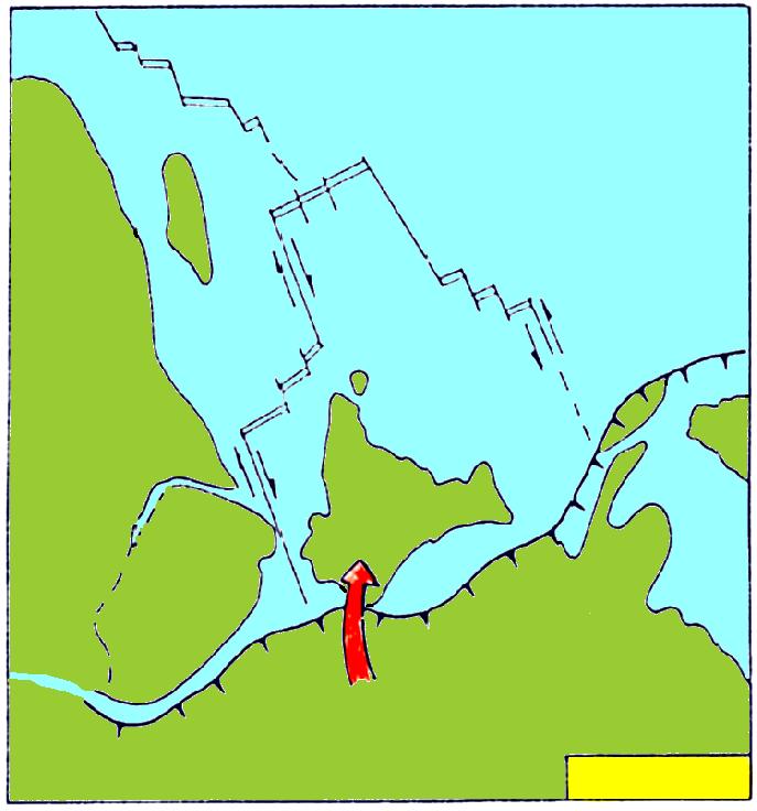 IL VIAGGIO DELL INDIA Tettonica a placche PROVE PALEONTOLOGICHE 55-50 Ma Collisione morbida tra i due margini continentali.