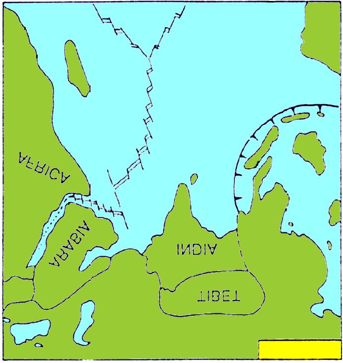 IL VIAGGIO DELL INDIA Tettonica a placche PROVE PALEONTOLOGICHE 21-18 Ma collisione continente-continente 10