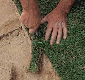 1 2 SÌ NO Per la posa delle zolle erbose basta posizionare i rotoli uno di seguito all altro in modo da formare una striscia d erba continua.