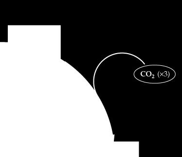 1) Carbossilazione (PGA) RUBISCO Km(CO 2