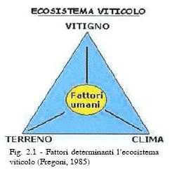 Valutare differenti