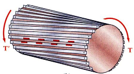 The exisence of he axial shear componens is demonsraed by considering a shaf made up of axial slas.